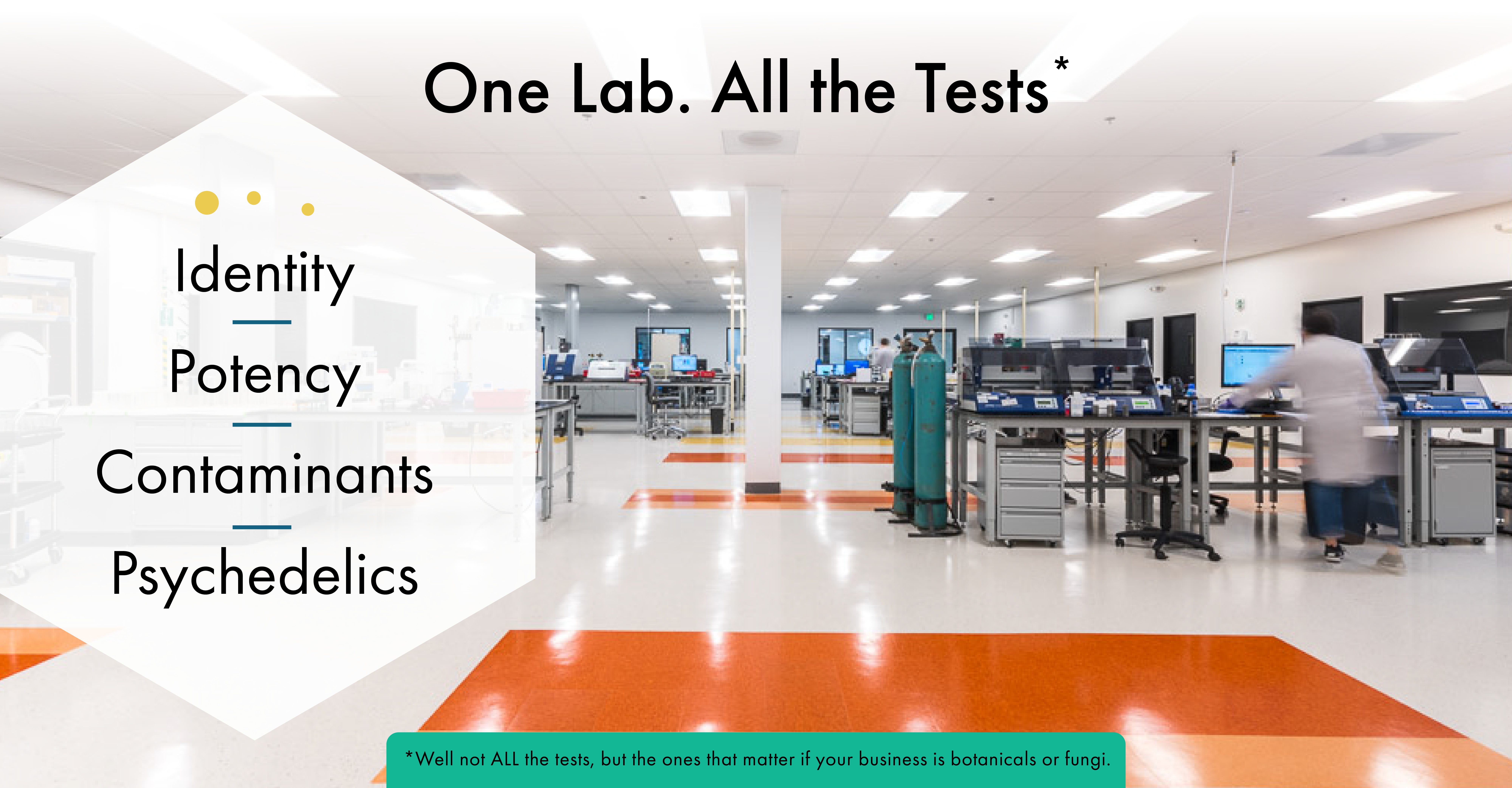 Alkemist Labs image with one lab all the tests