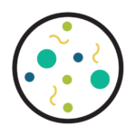 microbiology icon